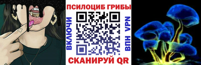 дарнет шоп  Полысаево  Псилоцибиновые грибы Psilocybe 