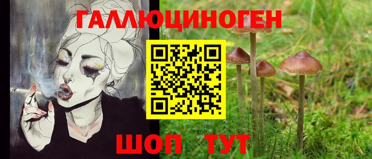 Полысаево  Псилоцибиновые грибы мицелий  Вход с VPN 